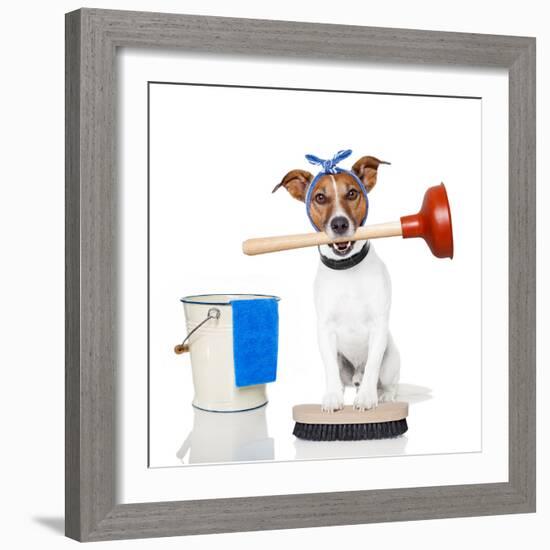 Cleaning Dog-Javier Brosch-Framed Photographic Print