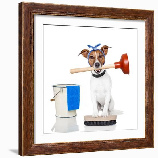 Cleaning Dog-Javier Brosch-Framed Photographic Print