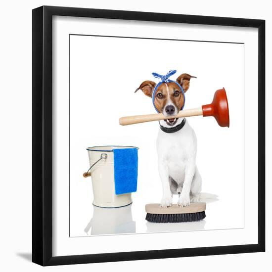 Cleaning Dog-Javier Brosch-Framed Photographic Print