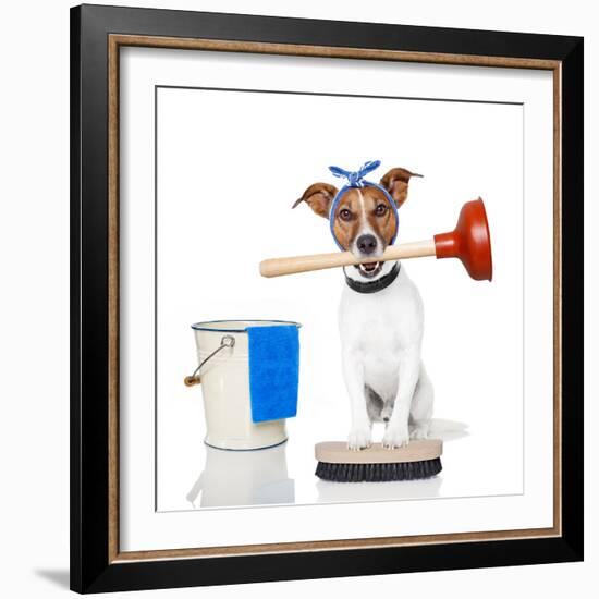 Cleaning Dog-Javier Brosch-Framed Photographic Print