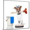 Cleaning Dog-Javier Brosch-Mounted Photographic Print