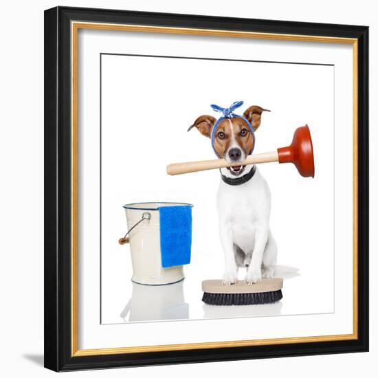 Cleaning Dog-Javier Brosch-Framed Photographic Print