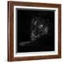 Cleaning Tools-Ruud Peters-Framed Photographic Print