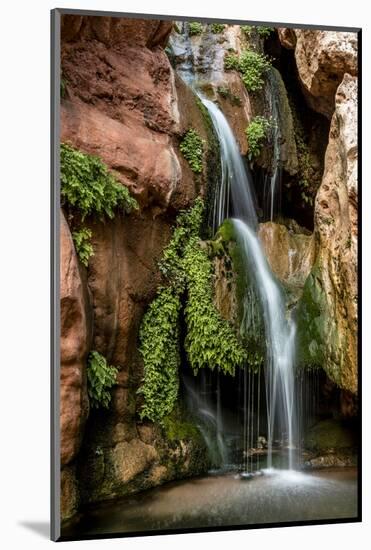 Clear Creek Falls. Clear Creek. Grand Canyon. Arizona. USA-Tom Norring-Mounted Photographic Print