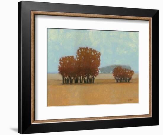 Clear Day II-Norman Wyatt Jr.-Framed Art Print