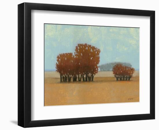 Clear Day II-Norman Wyatt Jr.-Framed Art Print