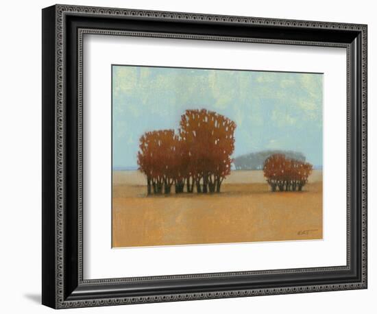 Clear Day II-Norman Wyatt Jr.-Framed Art Print