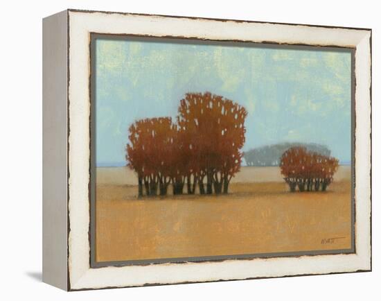 Clear Day II-Norman Wyatt Jr.-Framed Stretched Canvas