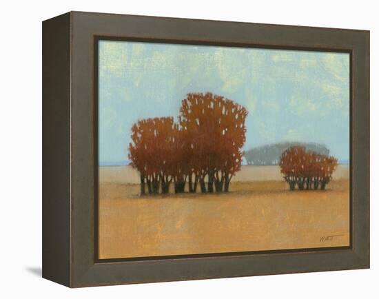 Clear Day II-Norman Wyatt Jr.-Framed Stretched Canvas