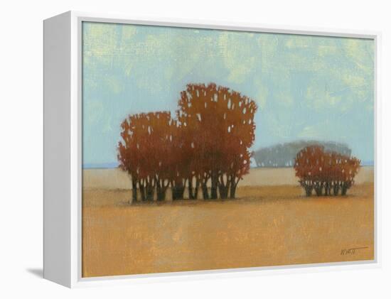 Clear Day II-Norman Wyatt Jr.-Framed Stretched Canvas