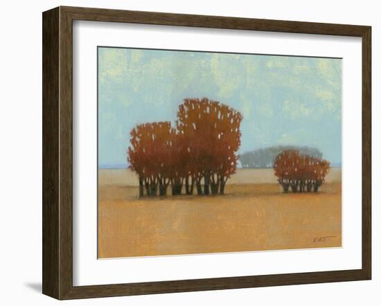 Clear Day II-Norman Wyatt Jr.-Framed Art Print