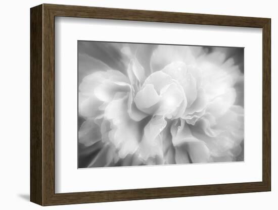 Clear Light-Philippe Sainte-Laudy-Framed Photographic Print