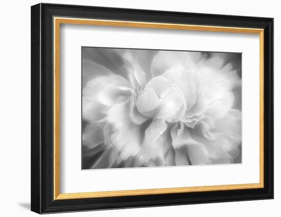 Clear Light-Philippe Sainte-Laudy-Framed Photographic Print