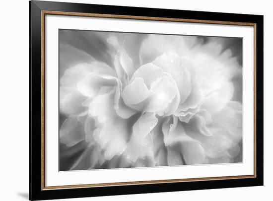 Clear Light-Philippe Sainte-Laudy-Framed Photographic Print