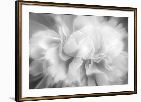 Clear Light-Philippe Sainte-Laudy-Framed Photographic Print