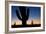 Clear Saguaro Sunset I-Larry Malvin-Framed Photographic Print