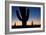 Clear Saguaro Sunset I-Larry Malvin-Framed Photographic Print