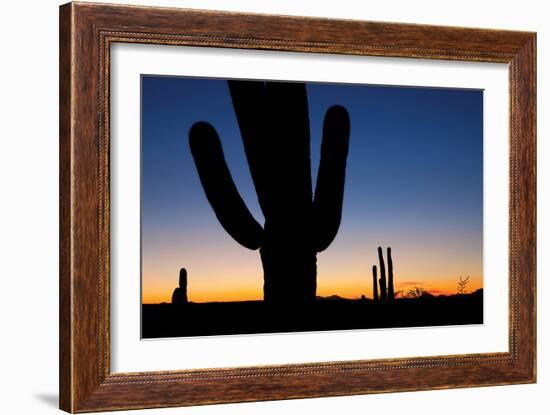 Clear Saguaro Sunset I-Larry Malvin-Framed Photographic Print