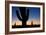 Clear Saguaro Sunset I-Larry Malvin-Framed Photographic Print