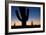 Clear Saguaro Sunset I-Larry Malvin-Framed Photographic Print