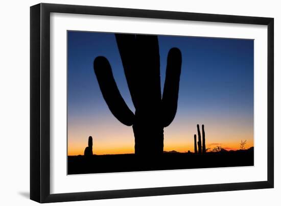 Clear Saguaro Sunset I-Larry Malvin-Framed Photographic Print