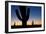 Clear Saguaro Sunset I-Larry Malvin-Framed Photographic Print