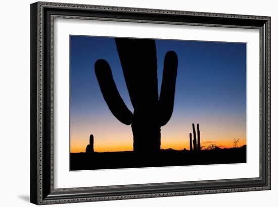 Clear Saguaro Sunset I-Larry Malvin-Framed Photographic Print