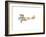 Clear Skies III-Ethan Harper-Framed Art Print