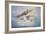 Clear the Decks-John Bradley-Framed Giclee Print