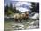 Clear Water Crossing-Jack Sorenson-Mounted Art Print