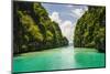 Clear Water in the Bacuit Archipelago, Palawan, Philippines-Michael Runkel-Mounted Photographic Print