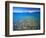 Clear Water of Bear Lake, Near Rendezvous Beach, Utah, USA-Scott T. Smith-Framed Photographic Print