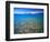 Clear Water of Bear Lake, Near Rendezvous Beach, Utah, USA-Scott T. Smith-Framed Photographic Print