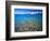 Clear Water of Bear Lake, Near Rendezvous Beach, Utah, USA-Scott T. Smith-Framed Photographic Print