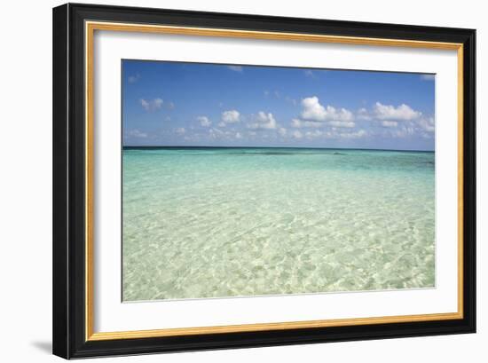 Clear Water View of the Caribbean Sea, Goff Caye, Belize-Cindy Miller Hopkins-Framed Photographic Print