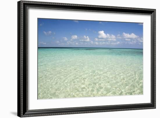 Clear Water View of the Caribbean Sea, Goff Caye, Belize-Cindy Miller Hopkins-Framed Photographic Print