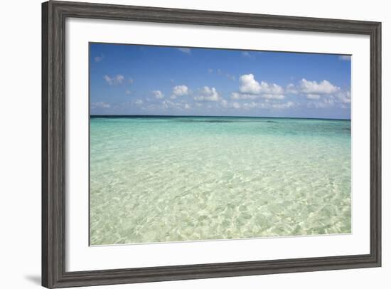 Clear Water View of the Caribbean Sea, Goff Caye, Belize-Cindy Miller Hopkins-Framed Photographic Print