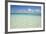 Clear Water View of the Caribbean Sea, Goff Caye, Belize-Cindy Miller Hopkins-Framed Photographic Print