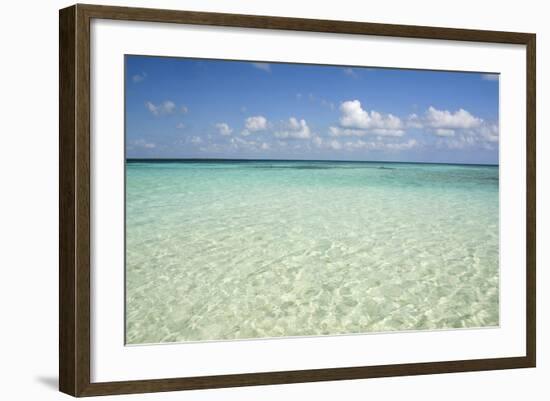 Clear Water View of the Caribbean Sea, Goff Caye, Belize-Cindy Miller Hopkins-Framed Photographic Print