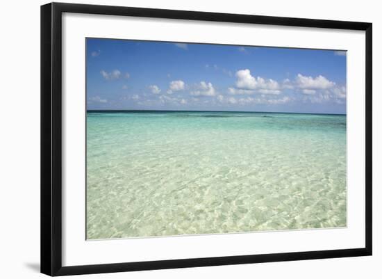 Clear Water View of the Caribbean Sea, Goff Caye, Belize-Cindy Miller Hopkins-Framed Photographic Print