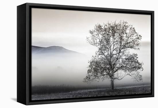 Clearing Fog-Danita Delimont-Framed Stretched Canvas