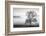 Clearing Fog-Danita Delimont-Framed Photo