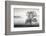 Clearing Fog-Danita Delimont-Framed Photo