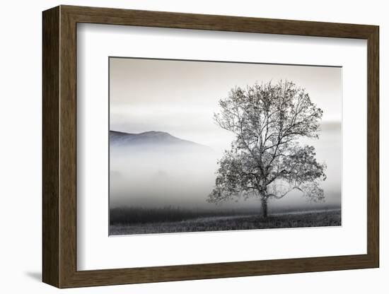 Clearing Fog-Danita Delimont-Framed Photo