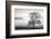 Clearing Fog-Danita Delimont-Framed Photo