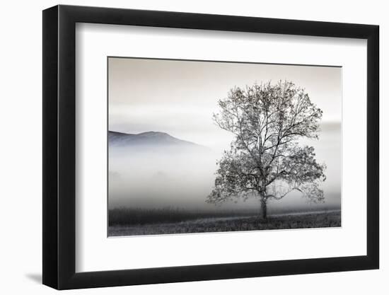 Clearing Fog-Danita Delimont-Framed Photo