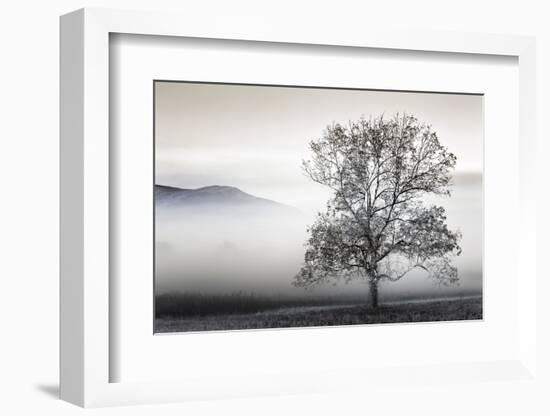 Clearing Fog-Danita Delimont-Framed Photo