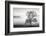 Clearing Fog-Danita Delimont-Framed Photo