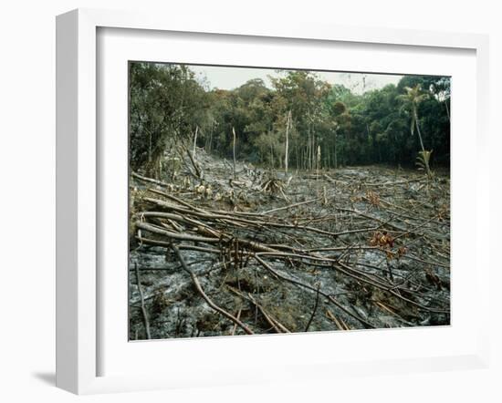 Clearing of the Rainforest (deforestation)-Dr. Morley Read-Framed Photographic Print