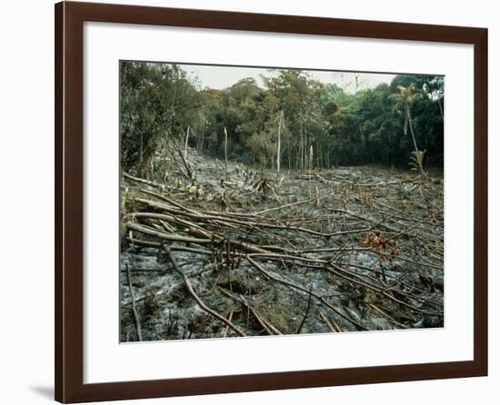 Clearing of the Rainforest (deforestation)-Dr. Morley Read-Framed Photographic Print